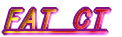 FAT CT